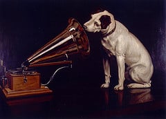 Dog Listening to Phonograph