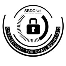 government contracting cybersecurity DFARS small business